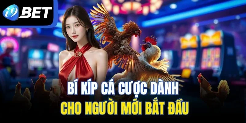 Bí kíp cá cược dành cho người mới bắt đầu