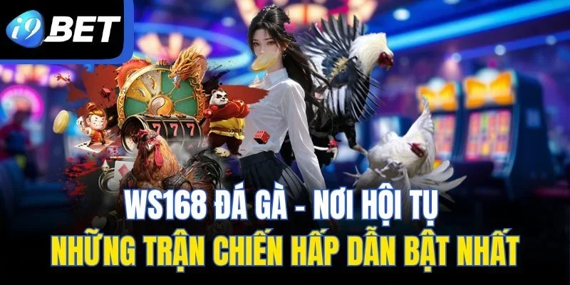 WS168 Đá Gà - Nơi Hội Tụ Những Trận Chiến Hấp Dẫn Bật Nhất
